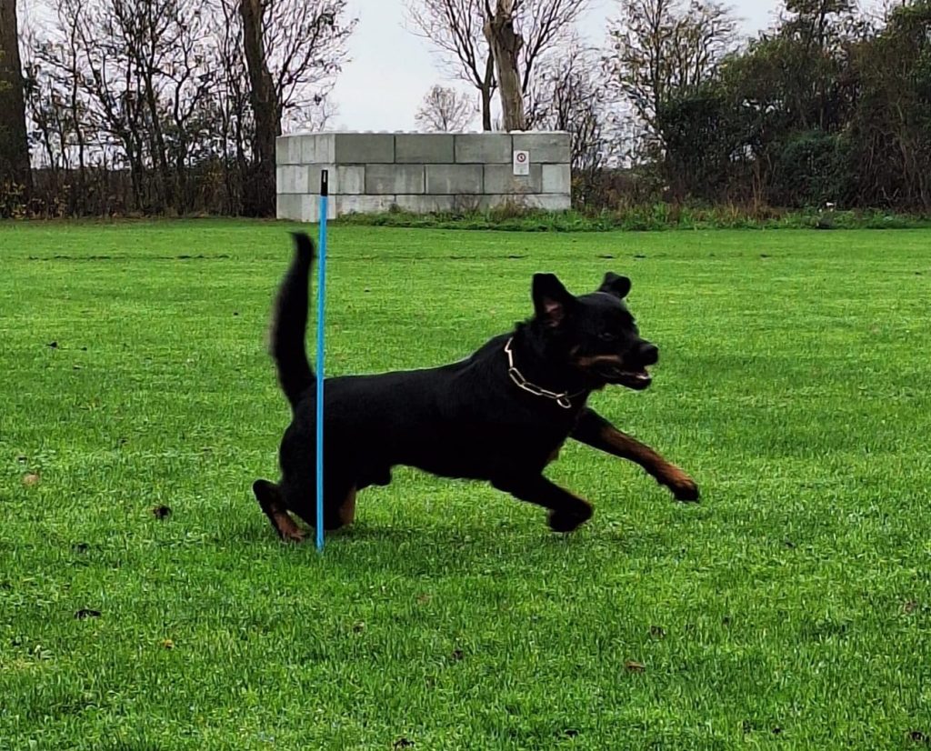 Appèl tijdens IGP training in Zeeland