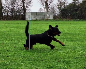 Appèl tijdens IGP training in Zeeland